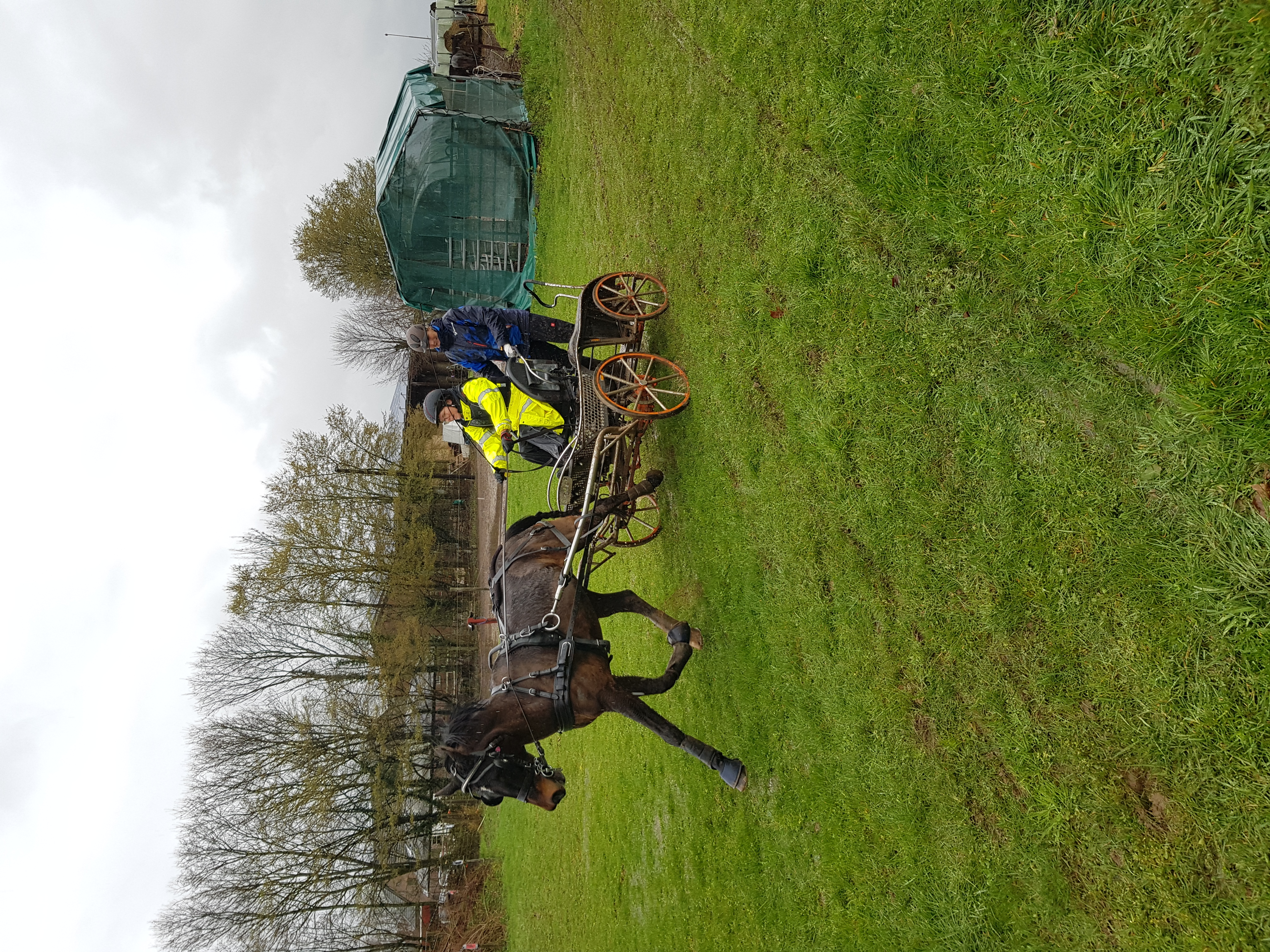 Marathontraining auf dem Klaesenhof