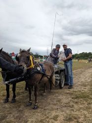 Kreismeisterschaft 2024